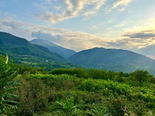 uma vista para um vale com montanhas à distância em Persati View em Kutaisi