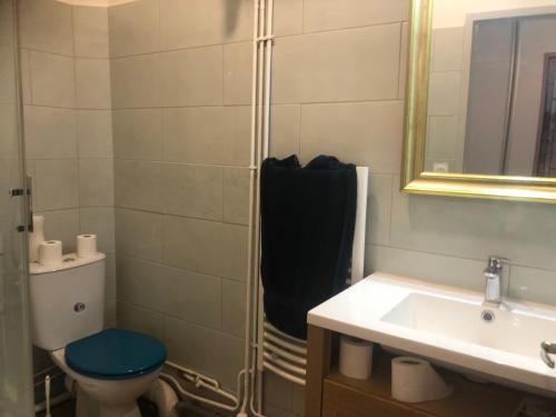 een badkamer met een toilet, een wastafel en een spiegel bij Orléans: maison de charme au cœur de la ville in Orléans