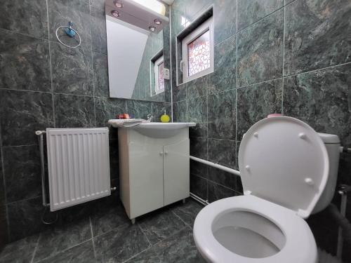 ein Badezimmer mit einem WC, einem Waschbecken und einem Spiegel in der Unterkunft Diana's Holiday Home in Podu Dîmboviţei