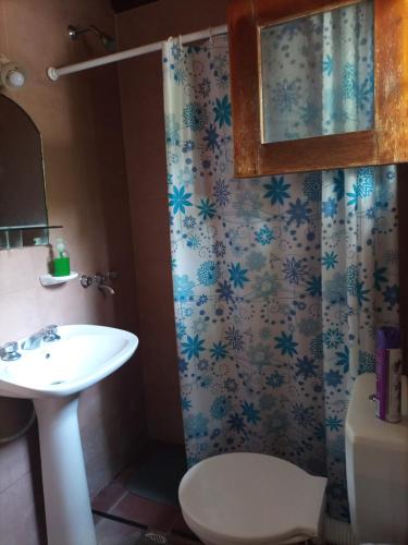 y baño con aseo, lavabo y ducha. en Alojamiento Lo de Bocha en Gualeguaychú