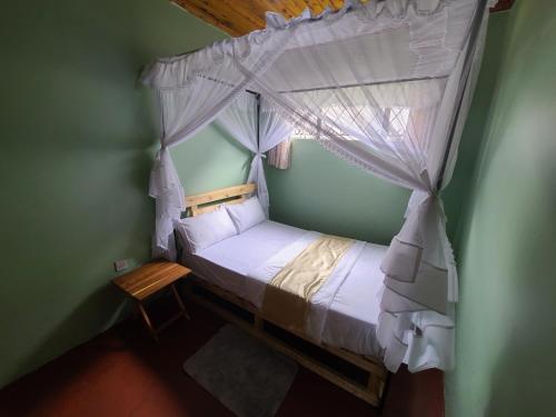 a bedroom with a canopy bed with white curtains at EVER GREEN in Arusha