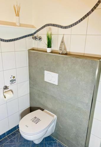 a bathroom with a toilet and a shower at Villa Baltica Wohnung 02 in Dahme