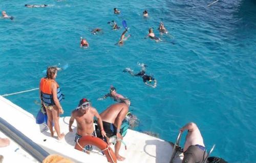 a group of people in the water on a boat at Dolphin house in Hurghada