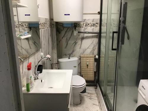 une salle de bain avec toilettes, lavabo et douche dans l'établissement FLAT Calais beach, à Calais