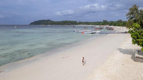 a dog walking on a beach with boats in the water at Bundhaya Villas in Ko Lipe
