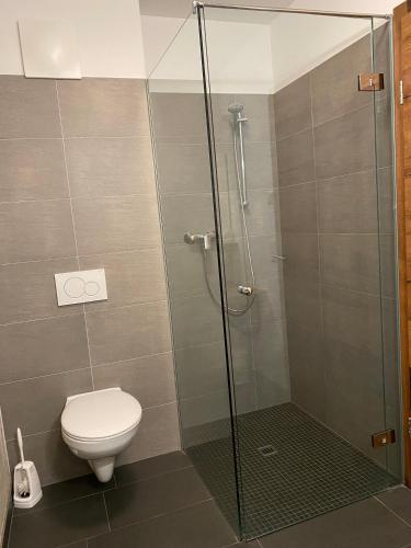 a bathroom with a shower and a toilet at Stadtalm Islitzer in Mittersill