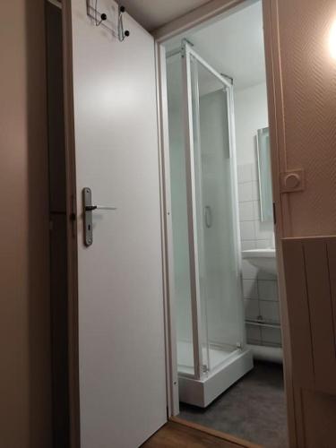 une salle de bain avec douche et porte vitrée dans l'établissement Studio Rémois - WIFI/Netflix, à Reims