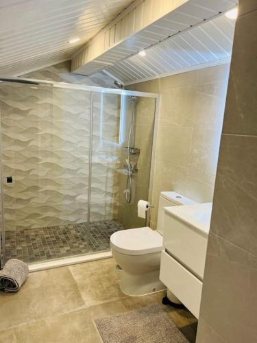 a bathroom with a shower and a toilet and a sink at Antonio's Captain House close to beaches in Atouguia da Baleia