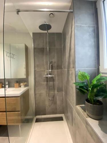 uma casa de banho com um chuveiro e um vaso de plantas em Le Faucon By Nid'Ouest em Rennes