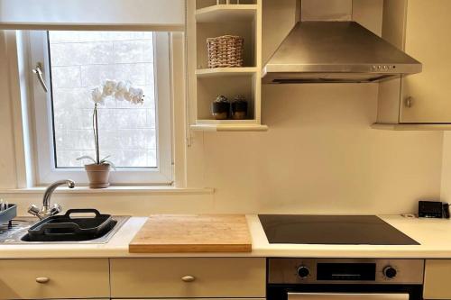 uma cozinha com um fogão, um lavatório e uma janela em Stylish & Central Flat in Edinburgh. Free Parking em Edimburgo