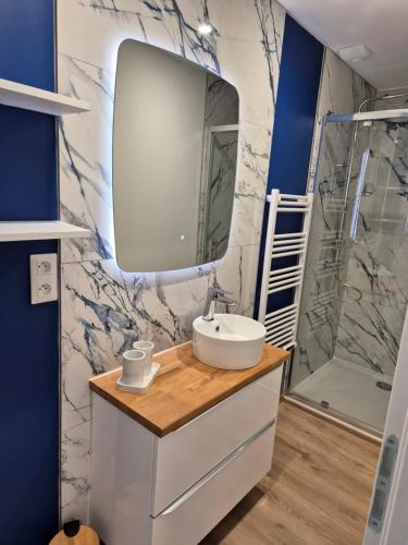 een badkamer met een wastafel en een spiegel bij Au Beau Regard in Belleu