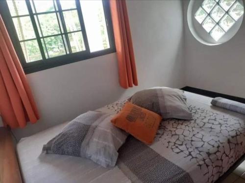 een slaapkamer met een bed met kussens en een raam bij Le Monstera in Le Lambert