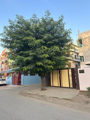 un árbol al lado de una calle en Chandrika Residency, en Jhūsi