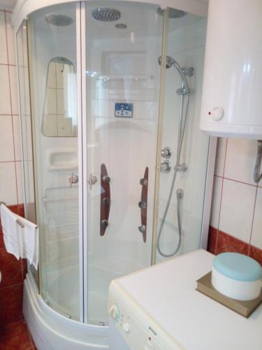 um chuveiro com uma porta de vidro na casa de banho em VERICA em Samobor