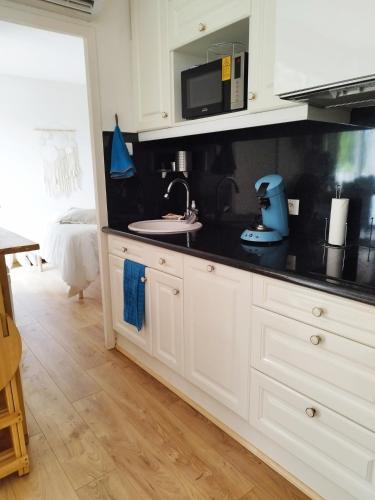 une cuisine avec un évier et un micro-ondes dans l'établissement Charmant T2 terrasse, bord de mer, à Argelès-sur-Mer