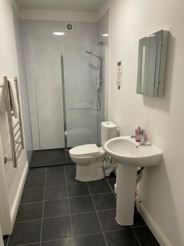 a bathroom with a toilet and a sink and a shower at Ty Bach in Aberystwyth