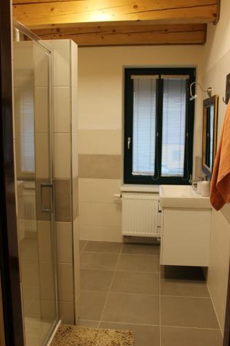 La salle de bains est pourvue d'une douche en verre et d'une fenêtre. dans l'établissement Ubytování U Starých, à Zaječí