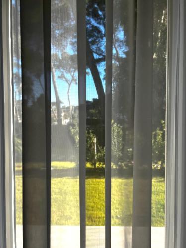 a window with a view of a yard at Pinea b&b in Castellaneta Marina 