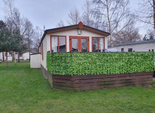 a small house with a hedge in the yard at 6 Berth Mini Lodge at Tydd St Giles Golf and Country Club in Wisbech