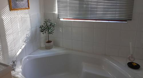 a white tub in a bathroom with a potted plant at 19 on Robyn in Durbanville