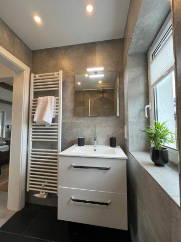 a bathroom with a sink and a mirror at Cityapartments Reutte in Reutte