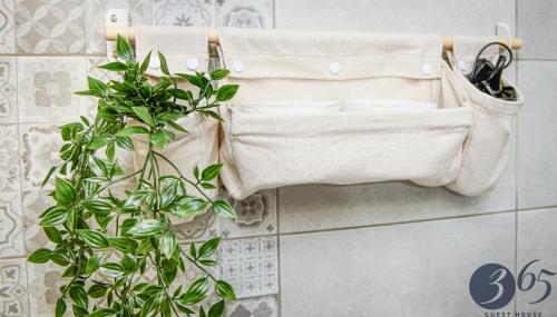 um toalheiro com duas toalhas e um vaso de plantas em 365 Guest House em Hunedoara