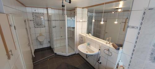ein Bad mit einem Waschbecken, einer Dusche und einem WC in der Unterkunft MW Ferienwohnung Höxter Weserbergland an der Weser in Höxter