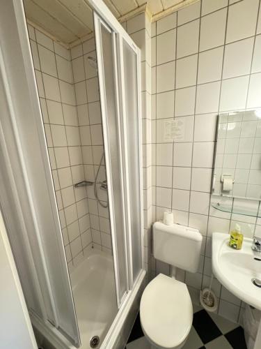 a bathroom with a toilet and a shower and a sink at Pension Sonnenschein in Halle an der Saale