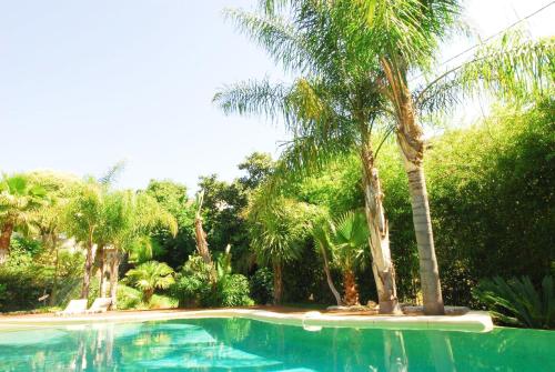 Cannes Villa St Barth photo 49