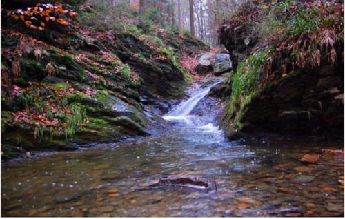 a painting of a stream in a forest at Le Tiyou in Spa
