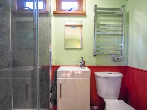 a bathroom with a toilet and a sink and a shower at Caban y Bugail Abercych in Abercych