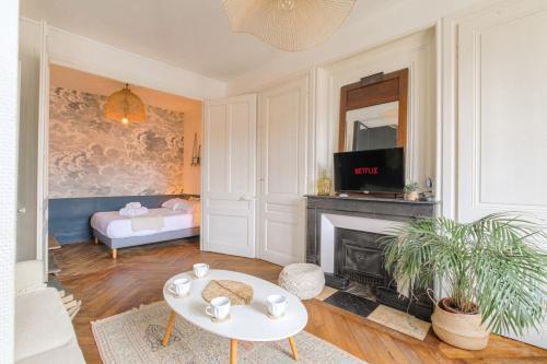 TV a/nebo společenská místnost v ubytování Charmant et Caractère proche Tête d'Or