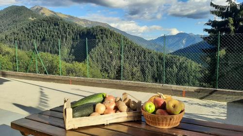 Gallery image of Albergo Bar Ristorante Da Gina in Forni Avoltri