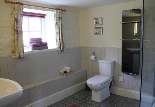 a bathroom with a toilet and a sink and a window at Dee's Cottage at Brinsop in Hereford