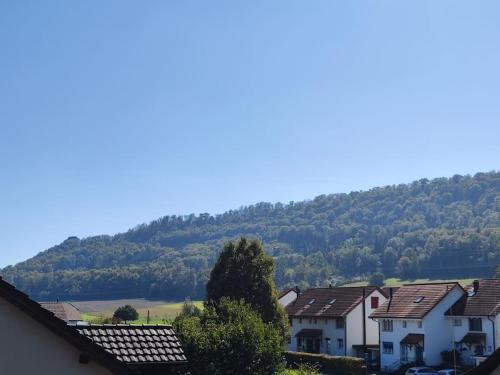 Gallery image of Stylish apartment with superb views in Birr-Lufig