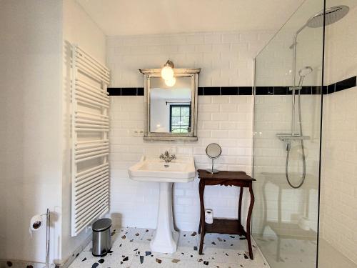a bathroom with a sink and a mirror and a shower at Gîte à Esneux - A La Belle Epoque d'Esneux in Esneux
