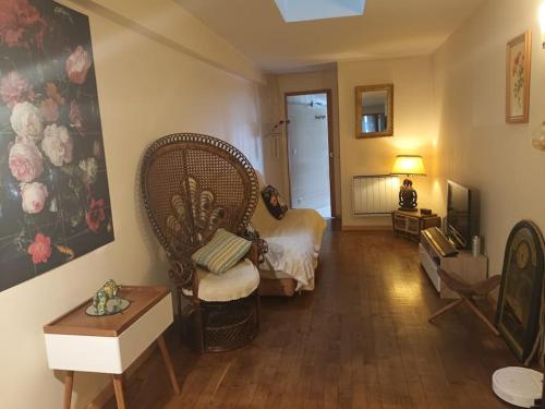 un salon avec une chaise et une télévision dans l'établissement Jolie petite maison sérénité centre historique, à Brioude