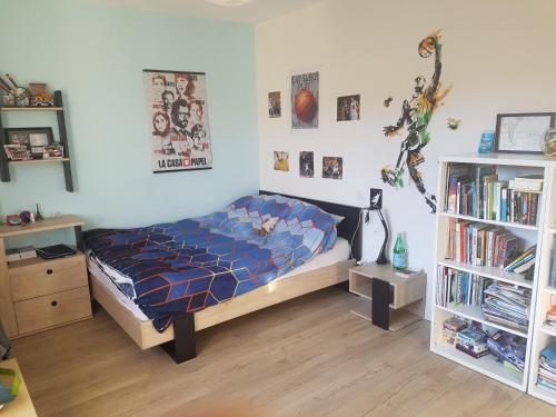 une chambre avec un lit et une étagère dans l'établissement SUPERBE MAISON FAMILIALE AVEC PISCINE, à Cabriès