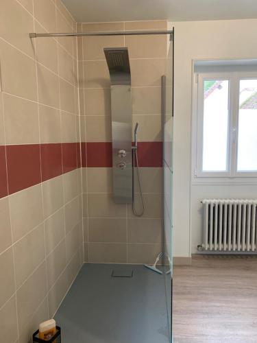 La salle de bains est pourvue d'une douche avec une porte en verre. dans l'établissement Les Amis de Beauval, à Seigy