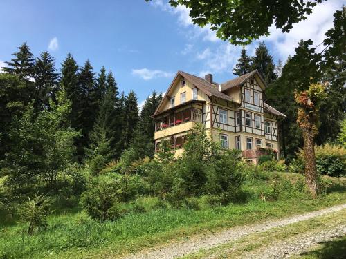 a large house on a hill with trees at Haus Sonnenblick in Benneckenstein