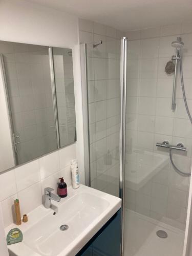 La salle de bains est pourvue d'un lavabo et d'une douche. dans l'établissement KLEY REIMS, à Reims