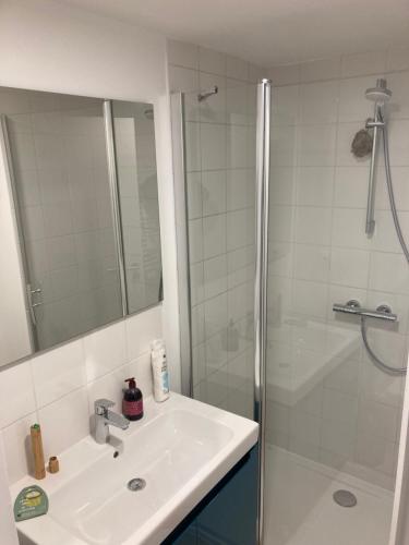 une salle de bain avec un lavabo et une douche dans l'établissement KLEY REIMS, à Reims