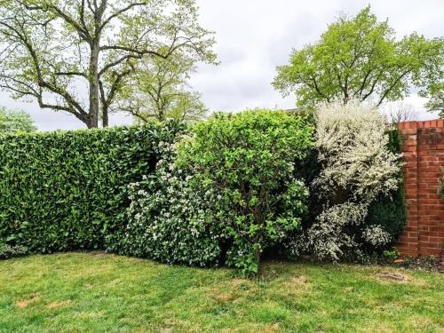 a hedge in front of a brick wall at Spacious 6 Bedroom House Near City Centre in Birmingham
