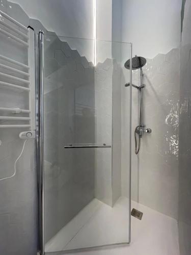 a shower with a glass door in a bathroom at Origen Valladolid in Valladolid