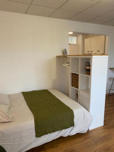 une chambre avec un lit avec une couverture verte dans l'établissement Studio Malo les bains plage 3eme étage, à Dunkerque