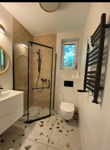 a bathroom with a shower and a toilet and a sink at Siedlisko Czapla koło Suntago - 900 m od Suntago in Grabce