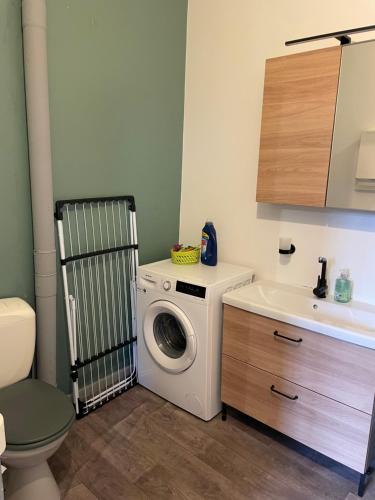 a bathroom with a washing machine and a sink at Charmant appartement avec jardin in Nancy