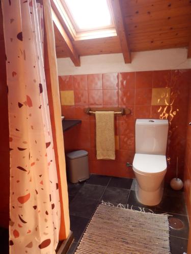 a bathroom with a toilet and a shower curtain at O Homem Verde in Penela