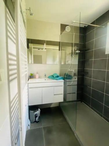 une salle de bain avec un lavabo et une douche en verre dans l'établissement appartement T3 idéalement situé, à Eygliers