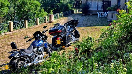 Επισκέπτες που μένουν στο Quinta da Mata - Turismo de Habitação